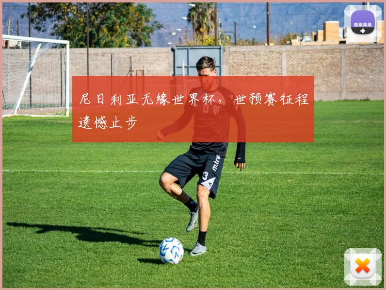 尼日利亚无缘世界杯,世预赛征程遗憾止步