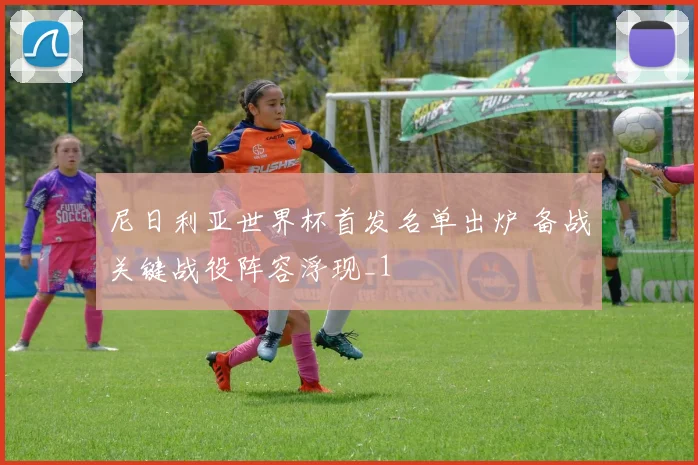 尼日利亚世界杯首发名单出炉 备战关键战役阵容浮现_1