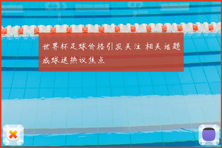 世界杯足球价格引发关注 相关话题成球迷热议焦点