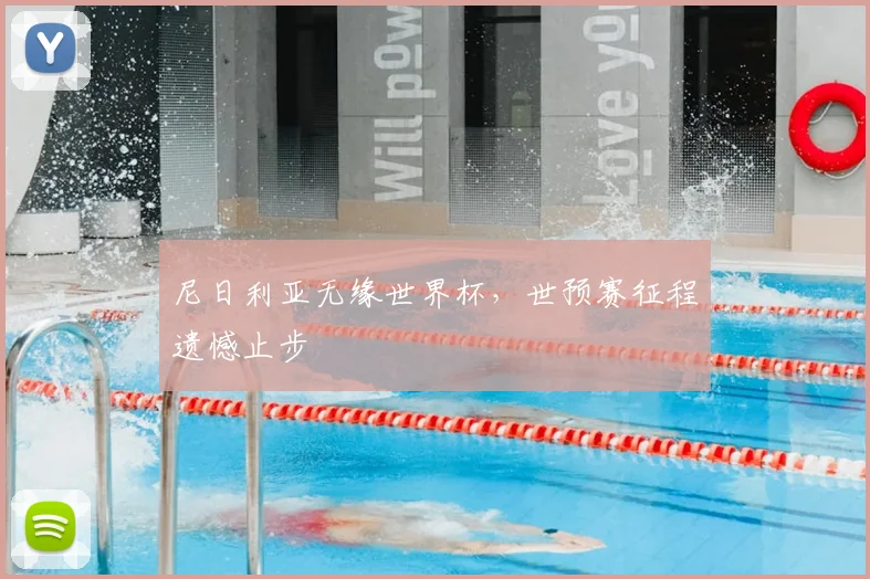 尼日利亚无缘世界杯,世预赛征程遗憾止步