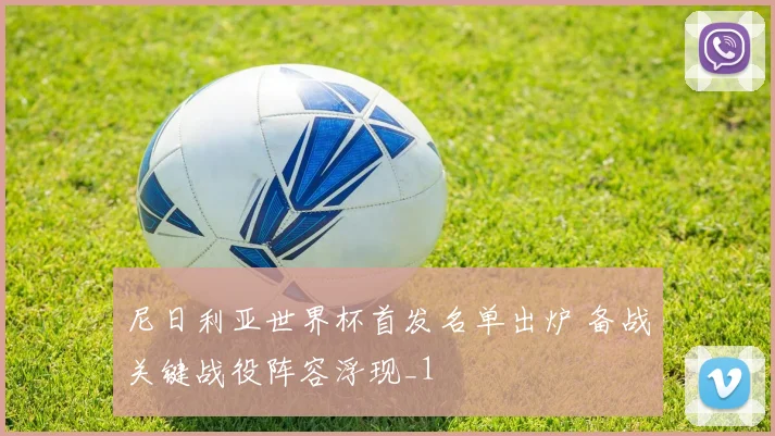尼日利亚世界杯首发名单出炉 备战关键战役阵容浮现_1